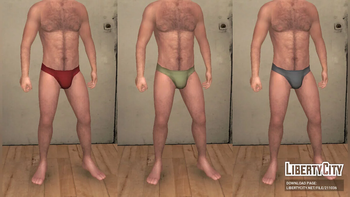 Summer - Shirtless Niko Bellic & Swimwear / GTA 4