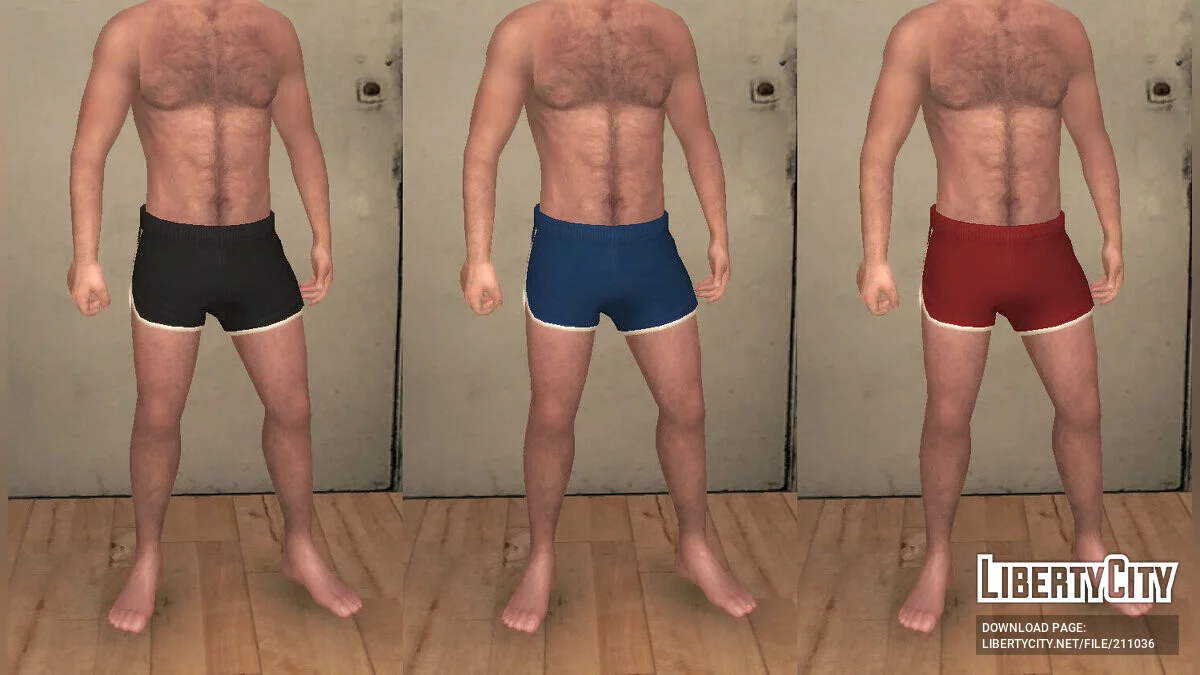 Summer - Shirtless Niko Bellic & Swimwear / GTA 4