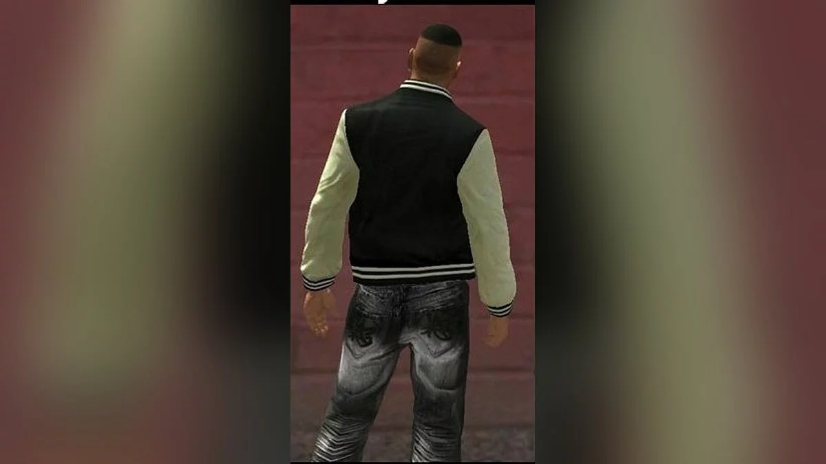 Luis beta jacket / GTA 4
