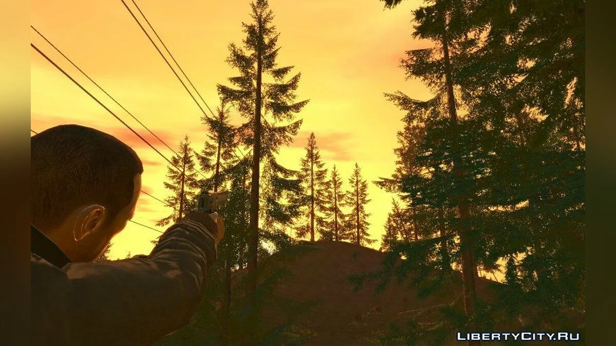 The Logger\'s Point / GTA 4