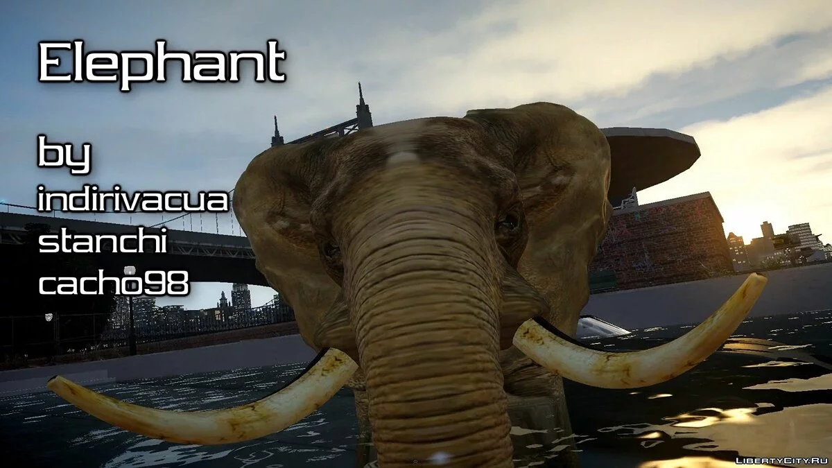 Слон / GTA 4