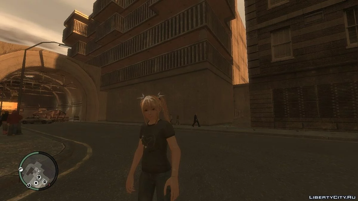 Мэри Роуз из игры Dead Or Alive 5: Ultimate / GTA 4