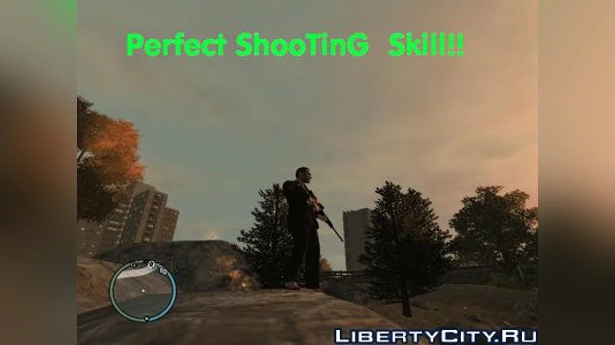 Perfect Shooting skill / GTA 4