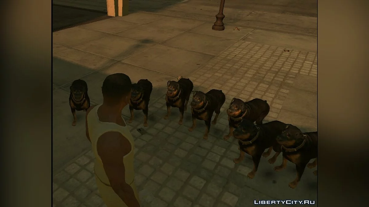 Chop GTA IV v1.1	  / GTA 4