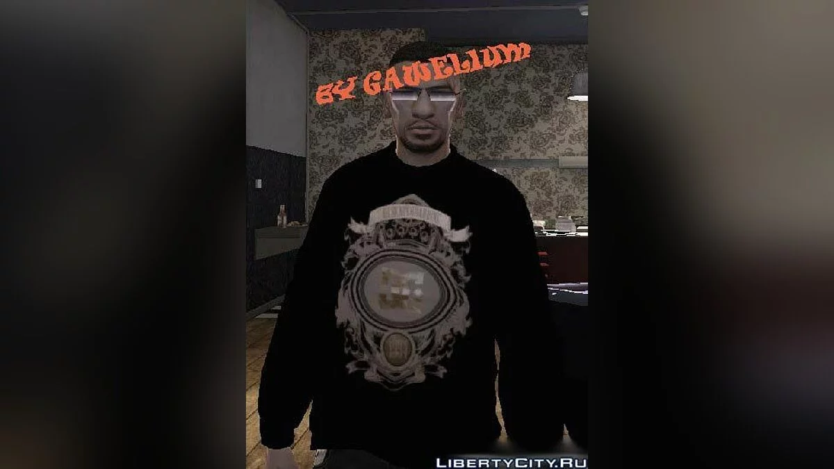 DC stakeboarding Sweater / GTA 4