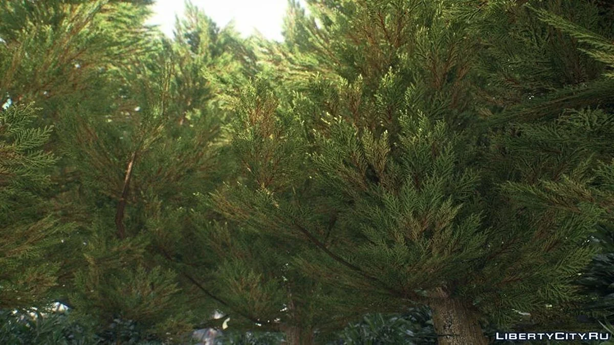 Vegetation Textures by BisonSales / GTA 4