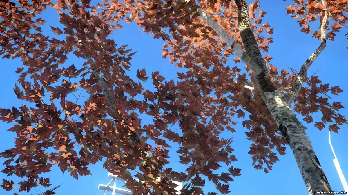 Autumn Trees by Compotik / GTA 4