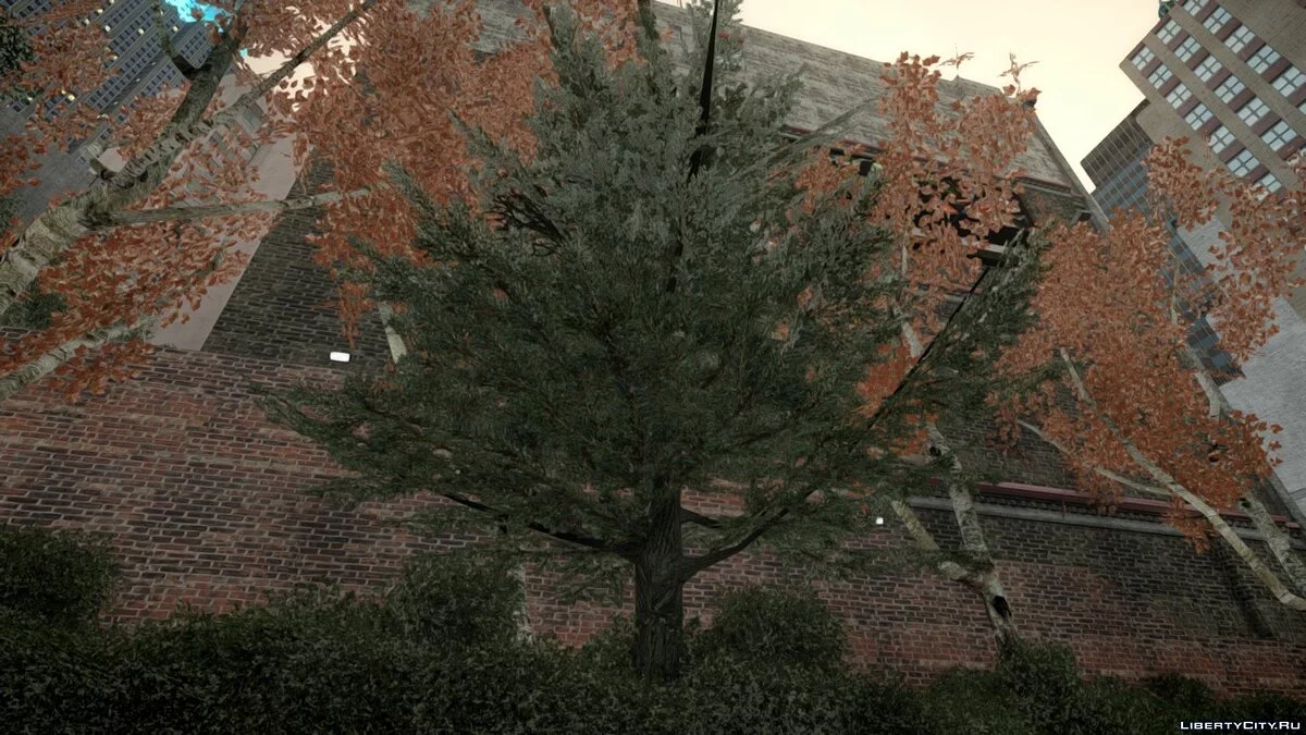 Autumn Trees by Compotik / GTA 4