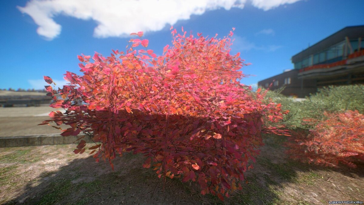 Autumn Vegetation Textures by BisonSales для GTA 4 - Картинка #2