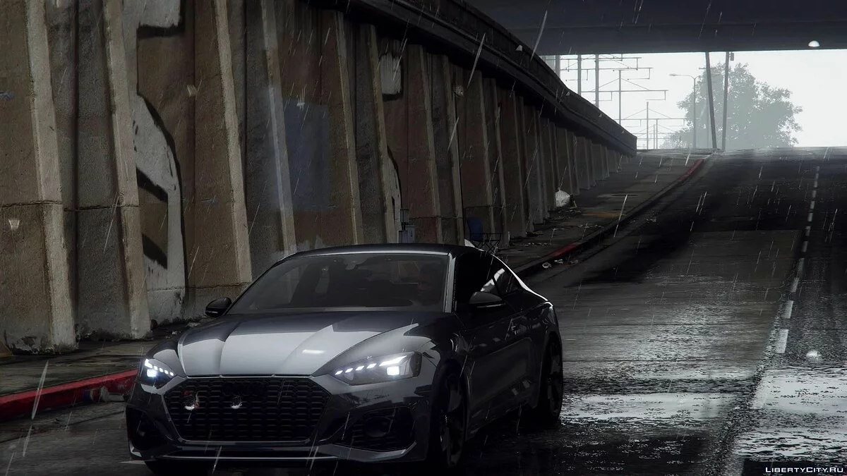 Audi RS5  / GTA 5