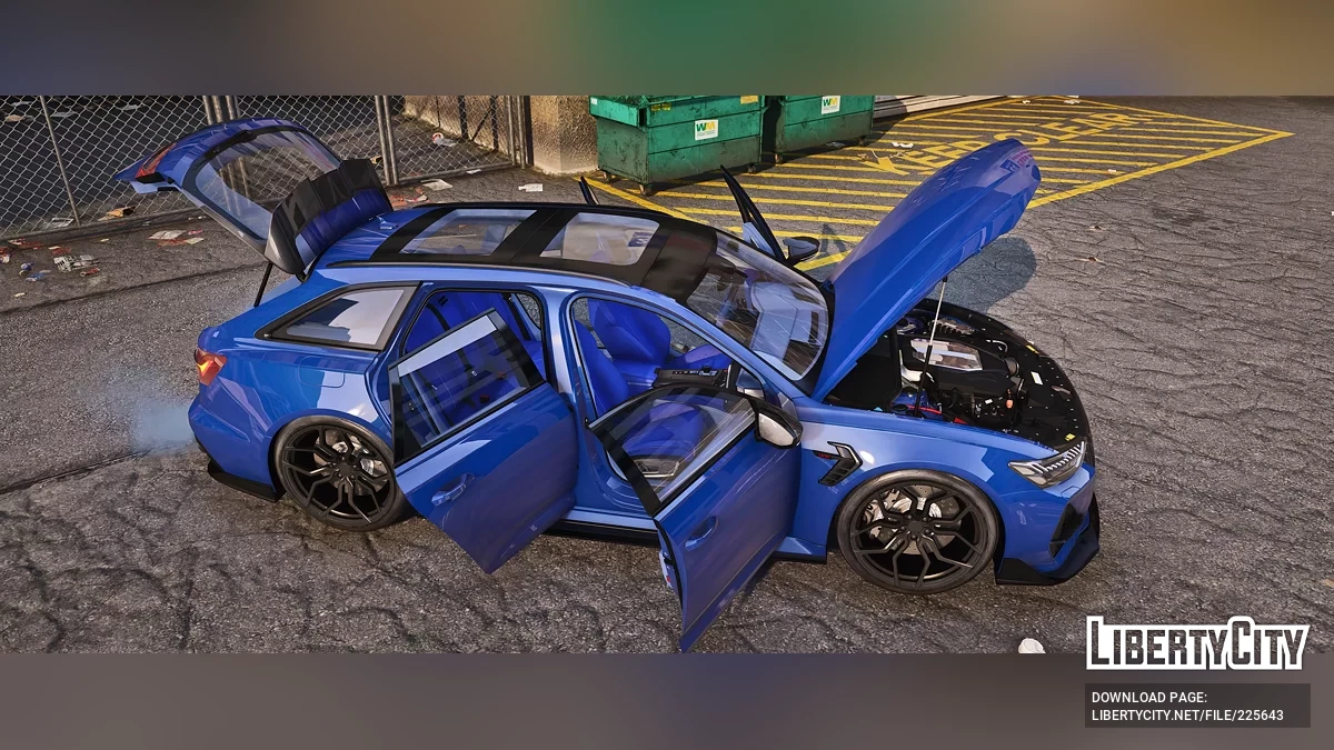 Audi RS6 CT Carbon / GTA 5