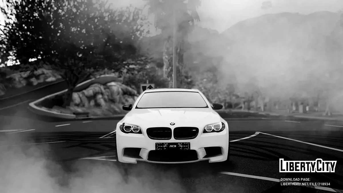 BMW M5 F10 / GTA 5