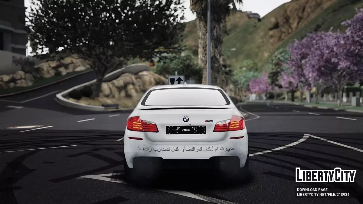 BMW M5 F10 / GTA 5