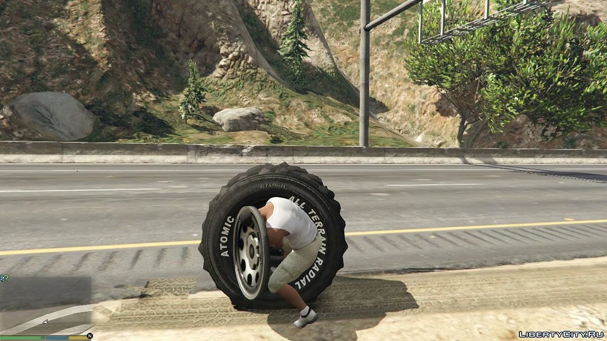 Wheel / GTA 5
