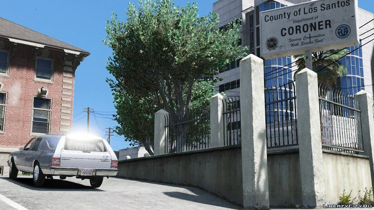 1989 Chevy Caprice Hearse / GTA 5