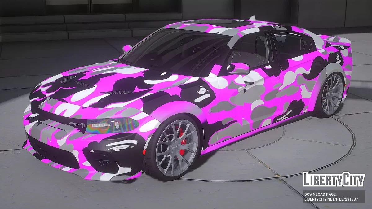 Dodge Charger SRT Sinkitty / GTA 5