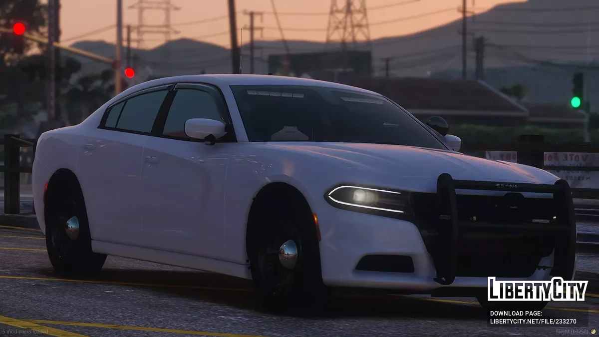 2019 Dodge Charger Mini Pack / GTA 5
