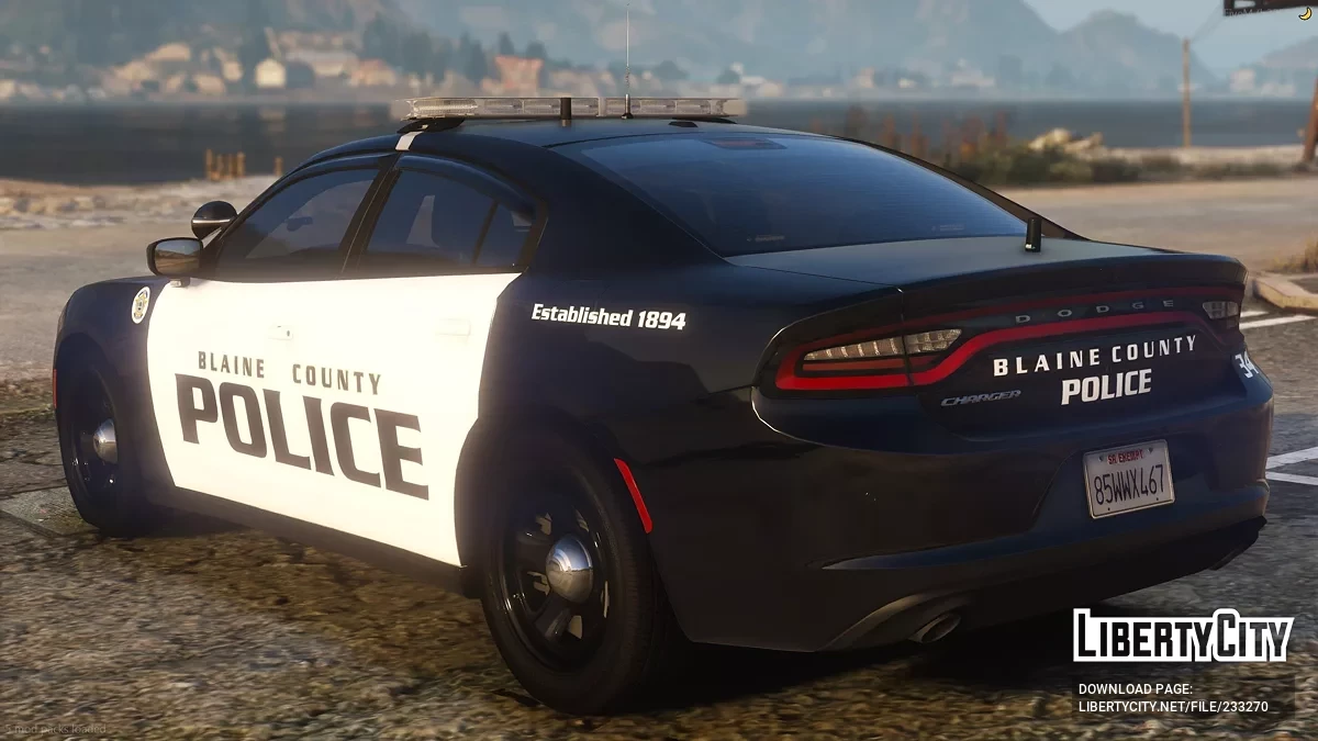 2019 Dodge Charger Mini Pack / GTA 5