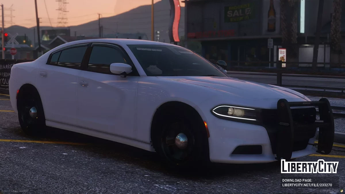 2019 Dodge Charger Mini Pack / GTA 5