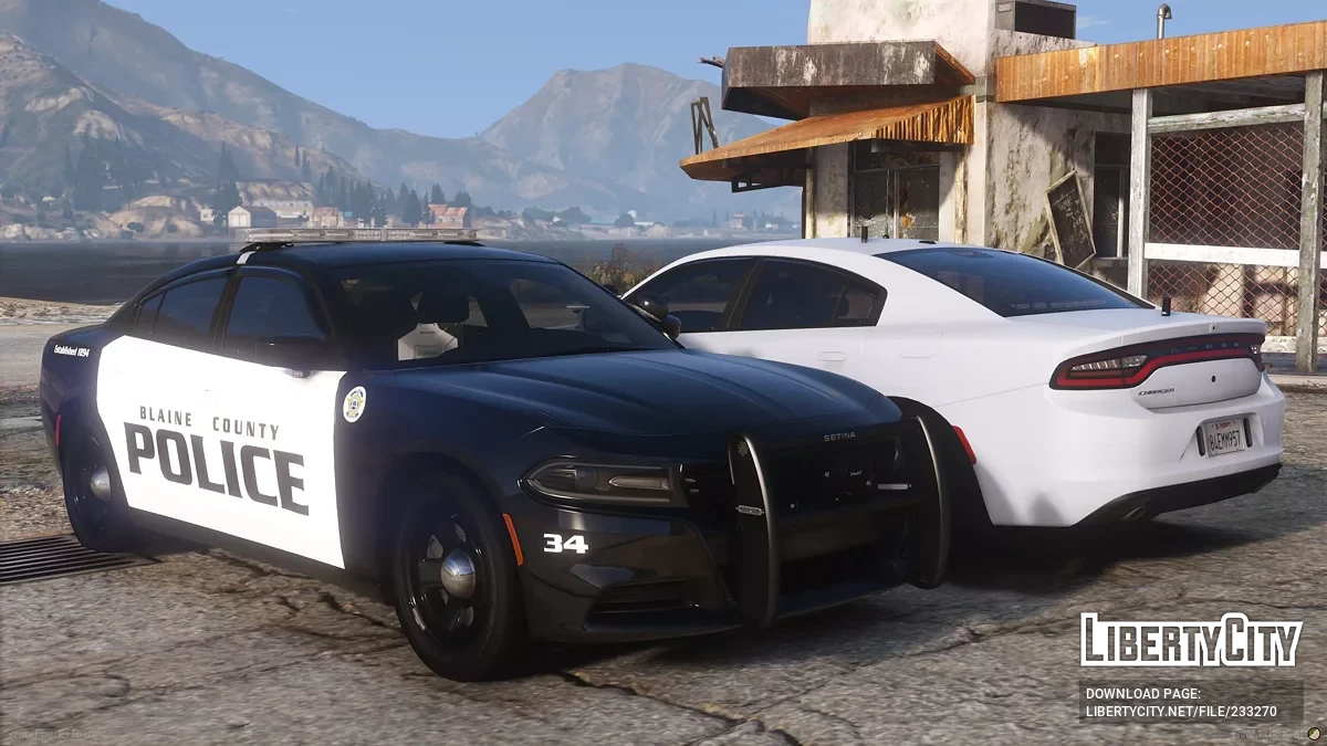 2019 Dodge Charger Mini Pack / GTA 5