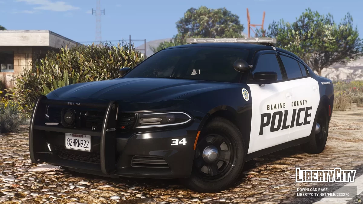 2019 Dodge Charger Mini Pack / GTA 5