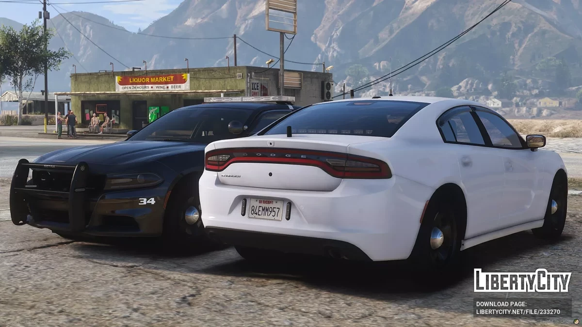 2019 Dodge Charger Mini Pack / GTA 5