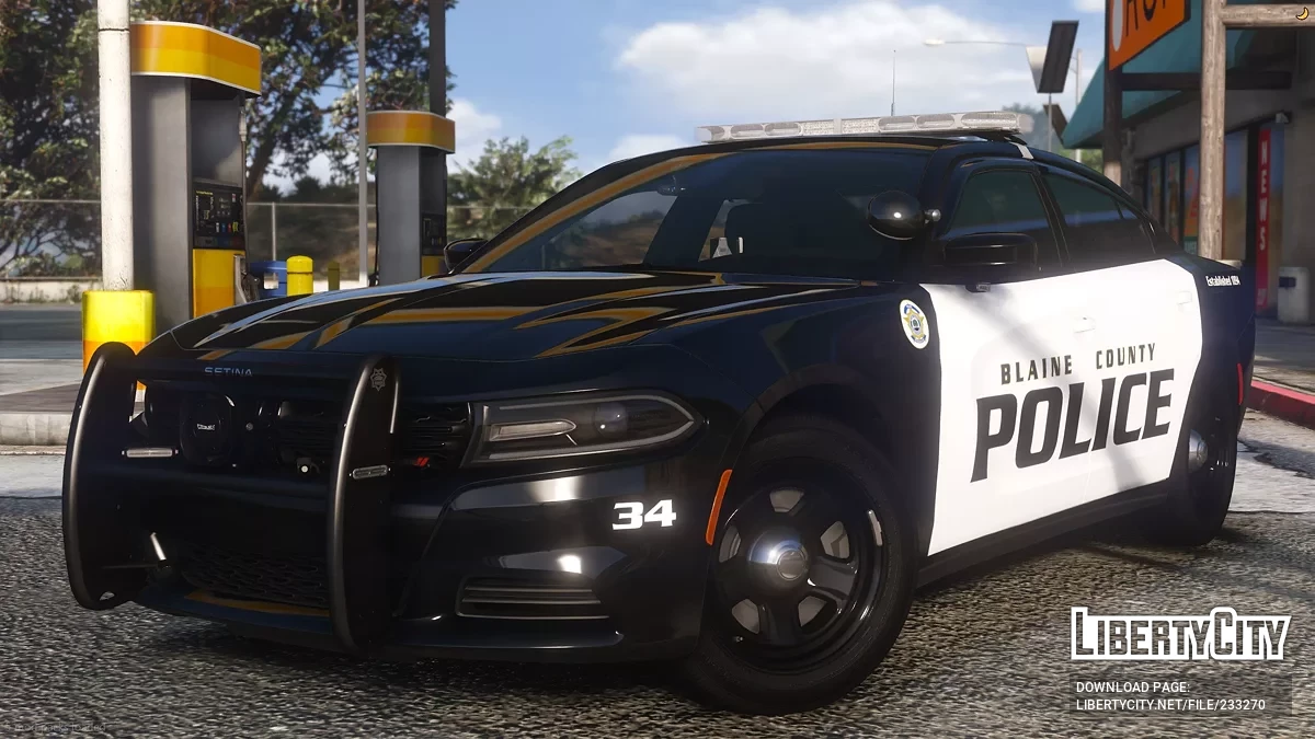 2019 Dodge Charger Mini Pack / GTA 5