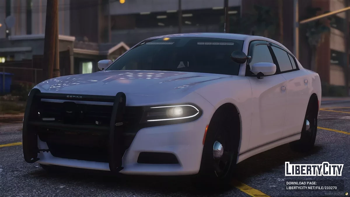 2019 Dodge Charger Mini Pack / GTA 5
