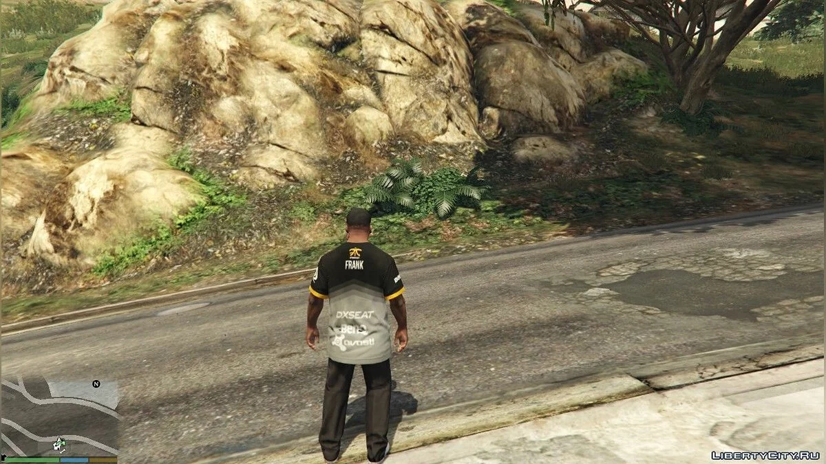 Форма FNATIC для Франклина / GTA 5