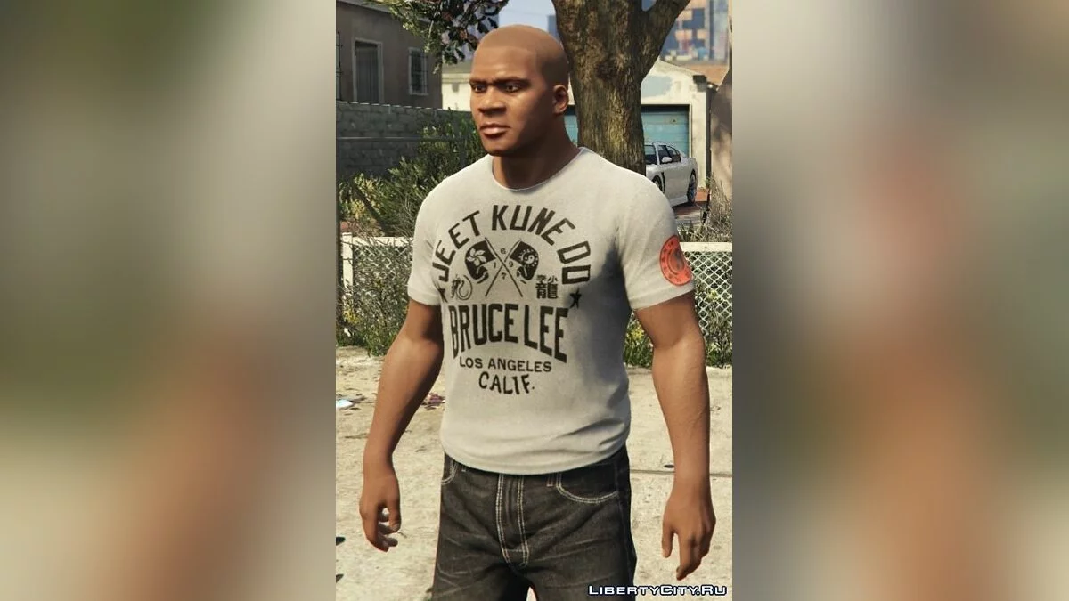 Franklin - Roots Of Fight T-Shirt Pack / GTA 5