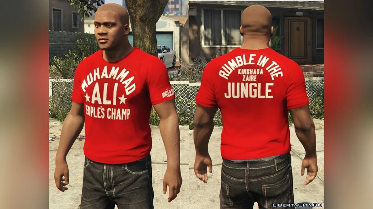 Franklin - Roots Of Fight T-Shirt Pack / GTA 5