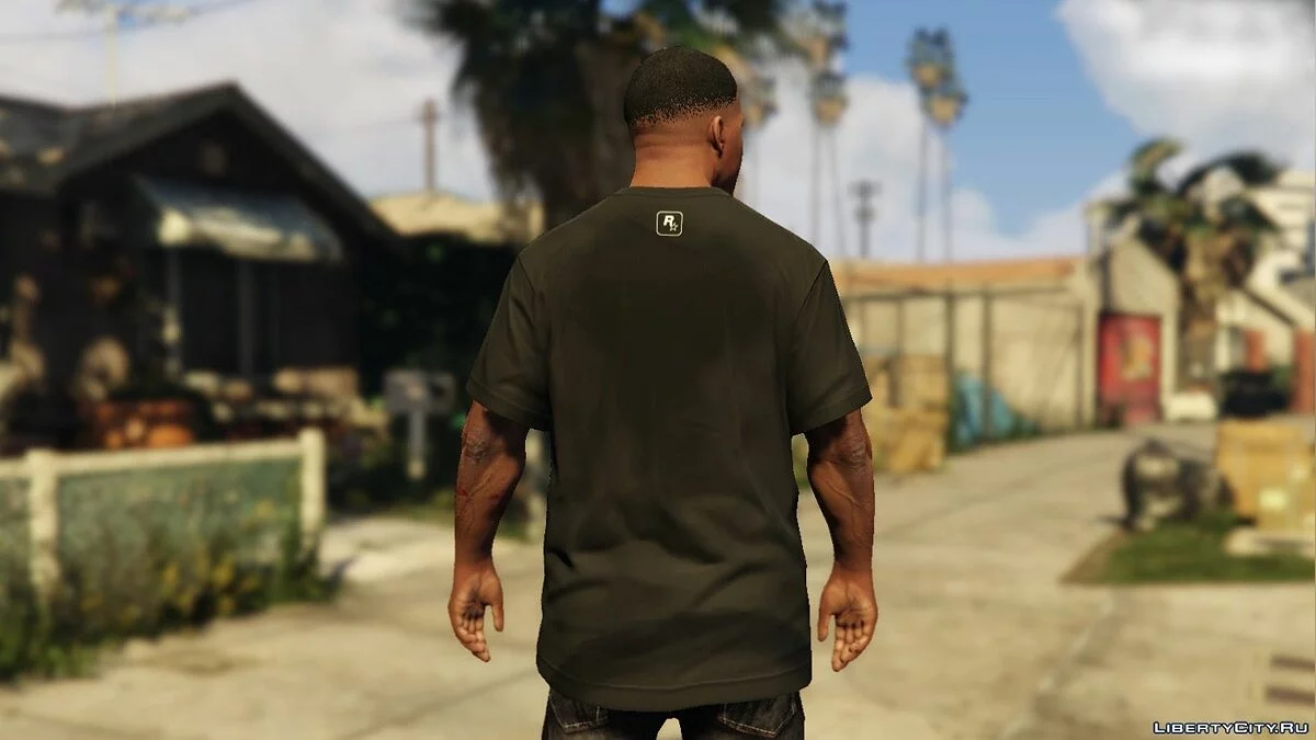 Grand Theft Auto V T-shirt / GTA 5