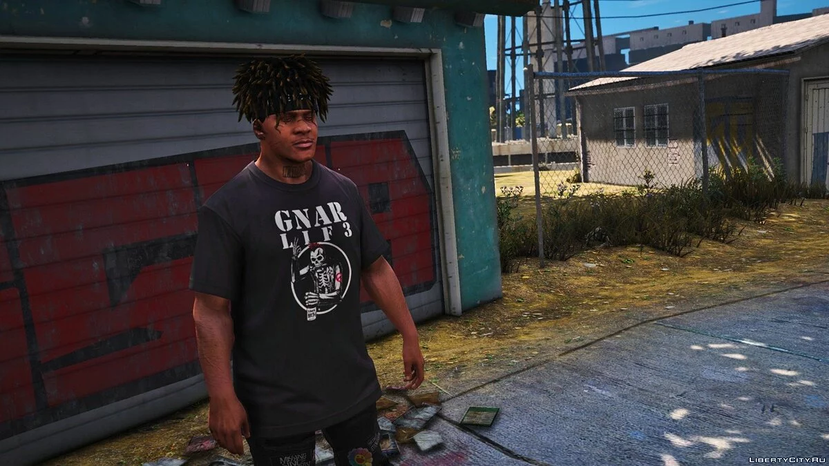 GNARCOTIC - GNAR LIF3 drop! 1.0 / GTA 5