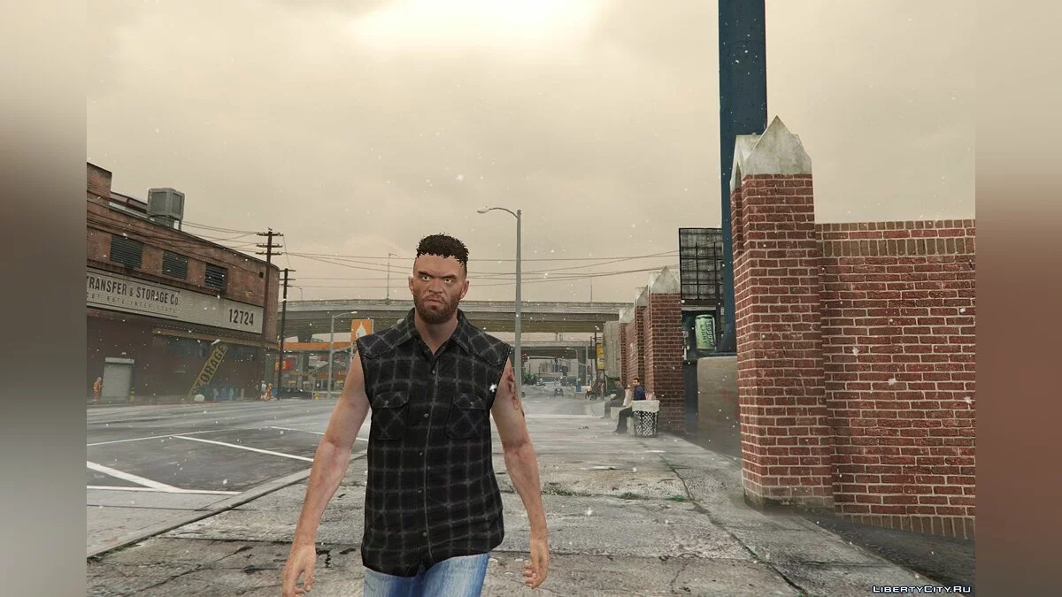 Новая рубашка без рукавов для Тревора / GTA 5