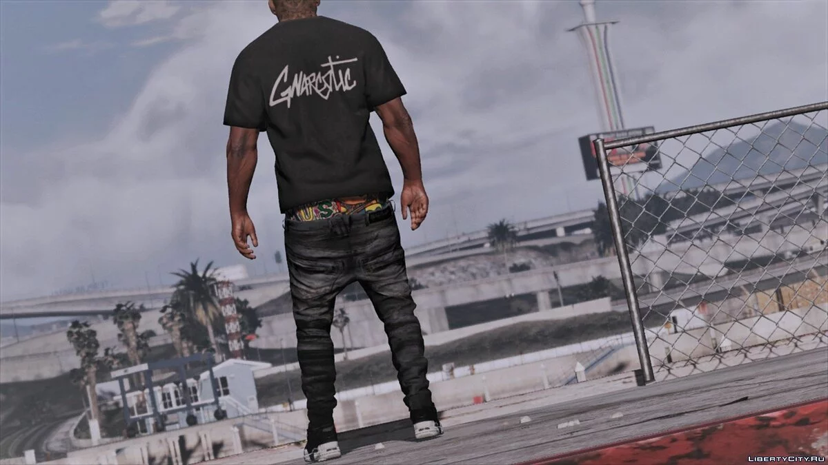 Сборник футболок от бренда GNARCOTIC X / GTA 5