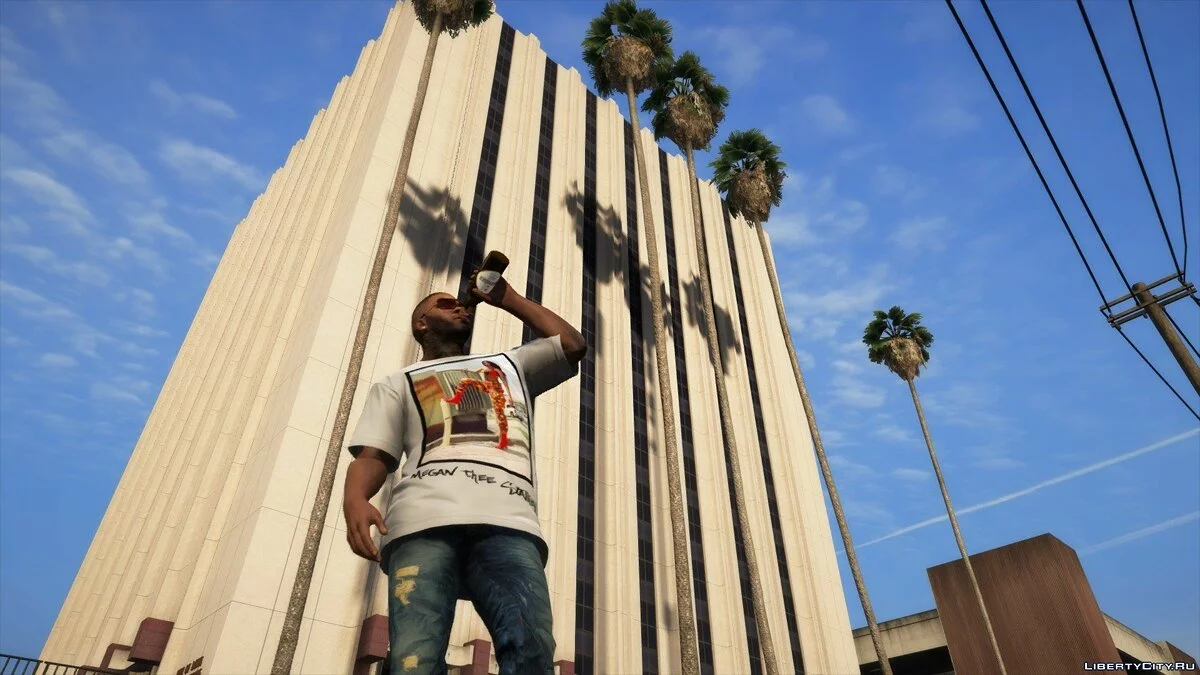 Футболка с Megan Thee Stallion / GTA 5