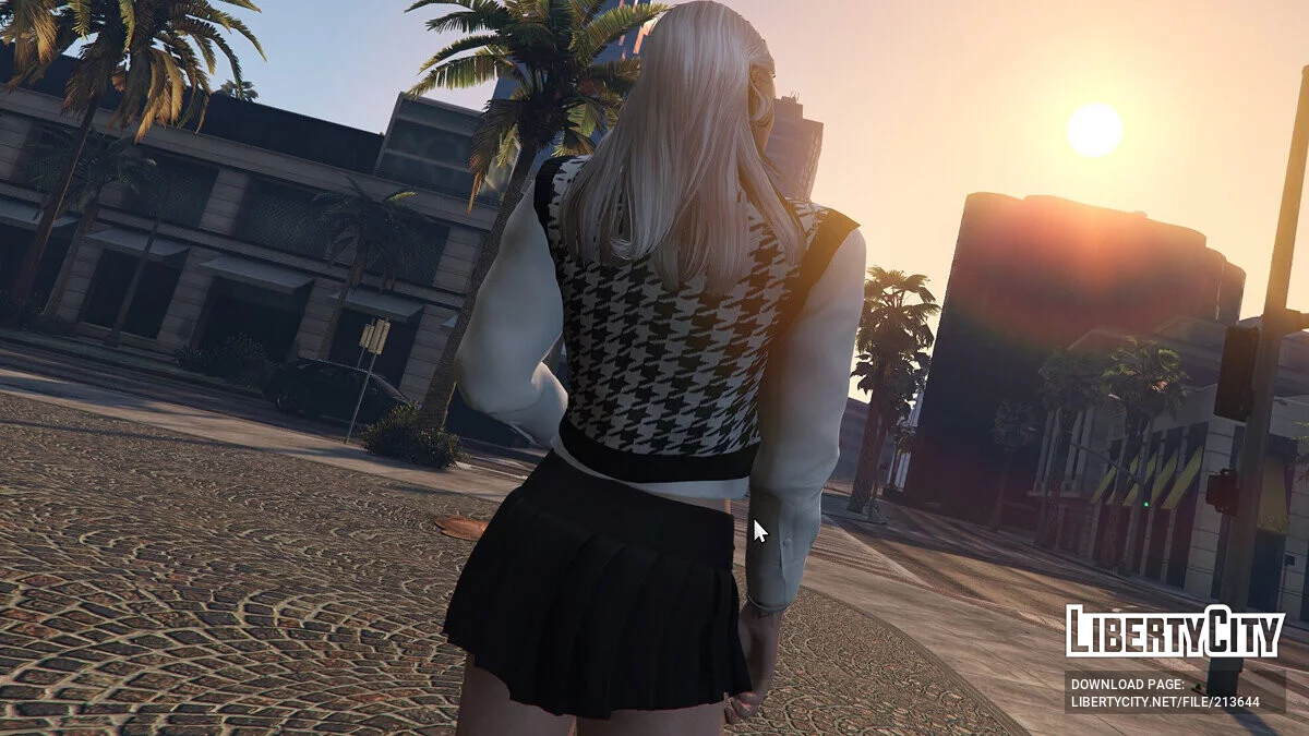 Cher Top для MP Female / GTA 5