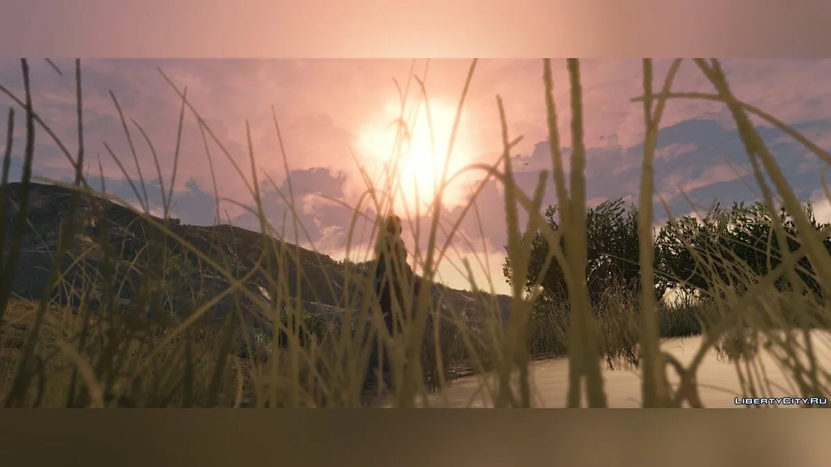 Mod Community Graphics 1.4 / GTA 5