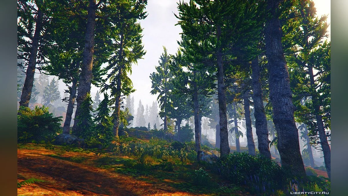 Natural Graphic GTA V 20.4.8 / GTA 5