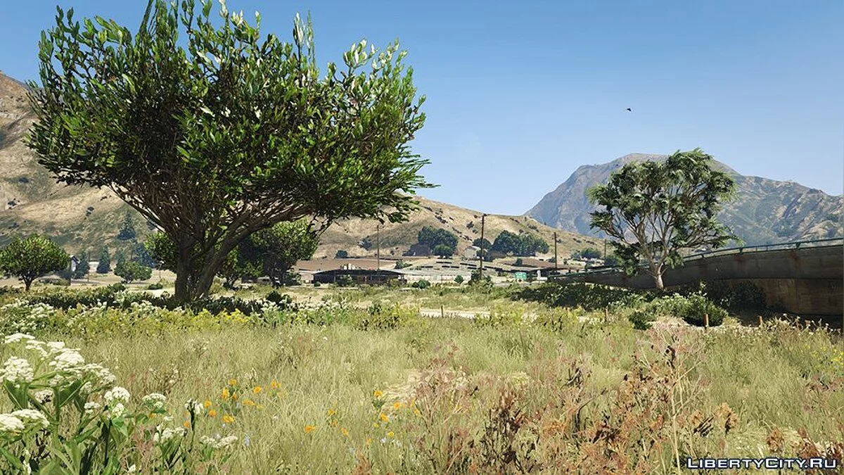Total Visual Overhaul v1.01 / GTA 5