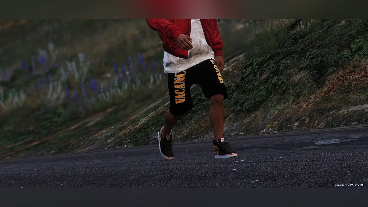THRASHER X VANS SK8 HI - Скейтерские кеды / GTA 5