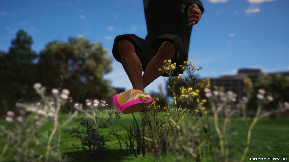 Vans Syndicate Old Skool Pro 'Golf Wang' / GTA 5