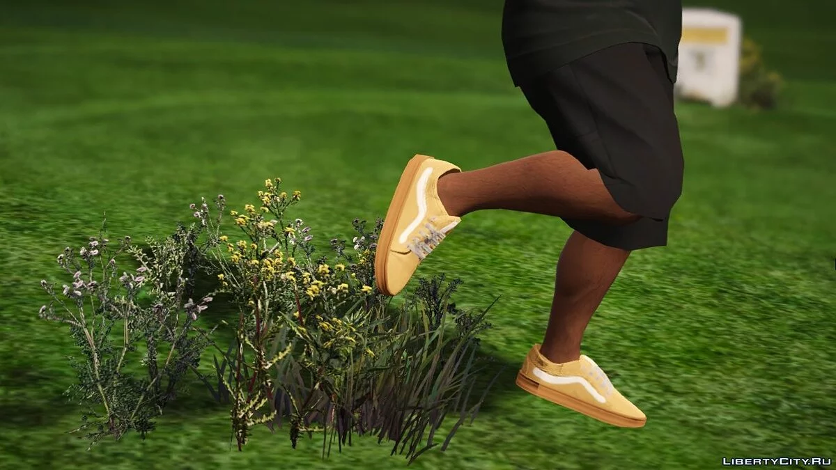 Vans Syndicate Old Skool Pro 'Golf Wang' / GTA 5