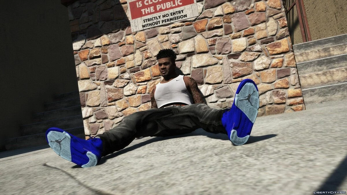 Красные и синие замшевые Jordan 5's / GTA 5
