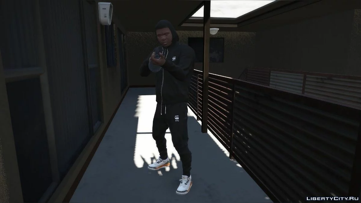 Jordan 3 Knick's / GTA 5