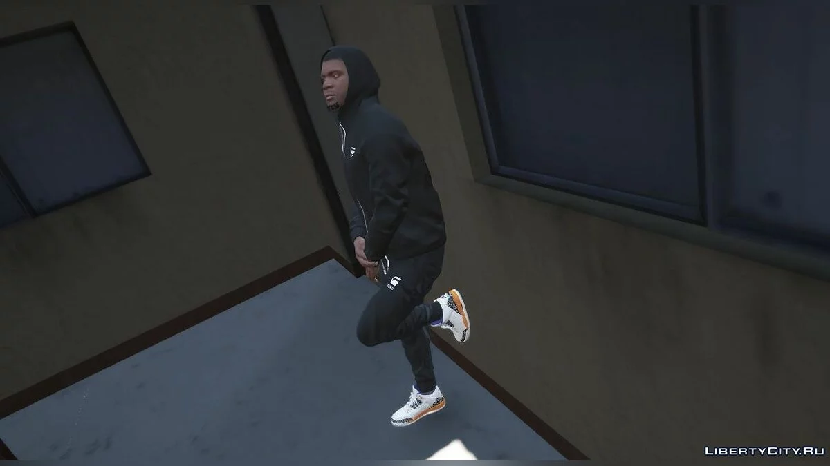 Jordan 3 Knick's / GTA 5