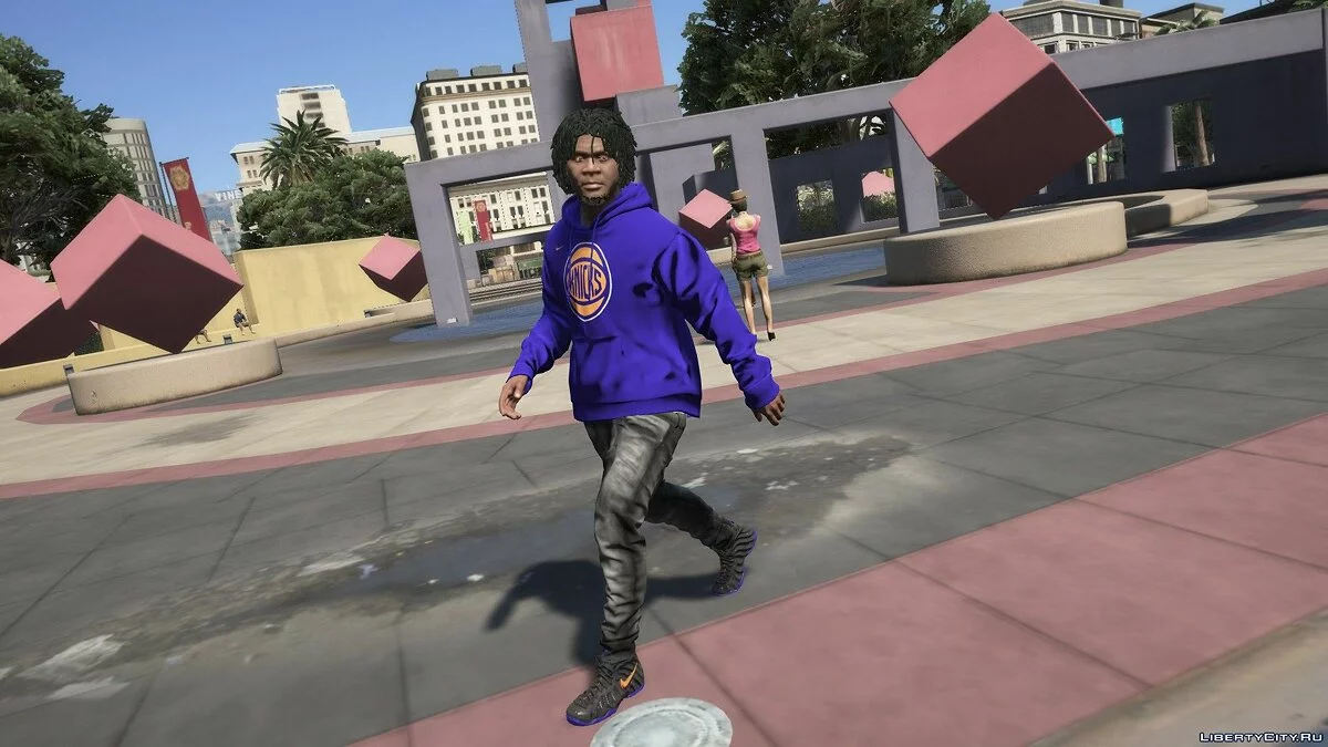 Knicks Foamposite Pro кроссовки и Knicks худи / GTA 5