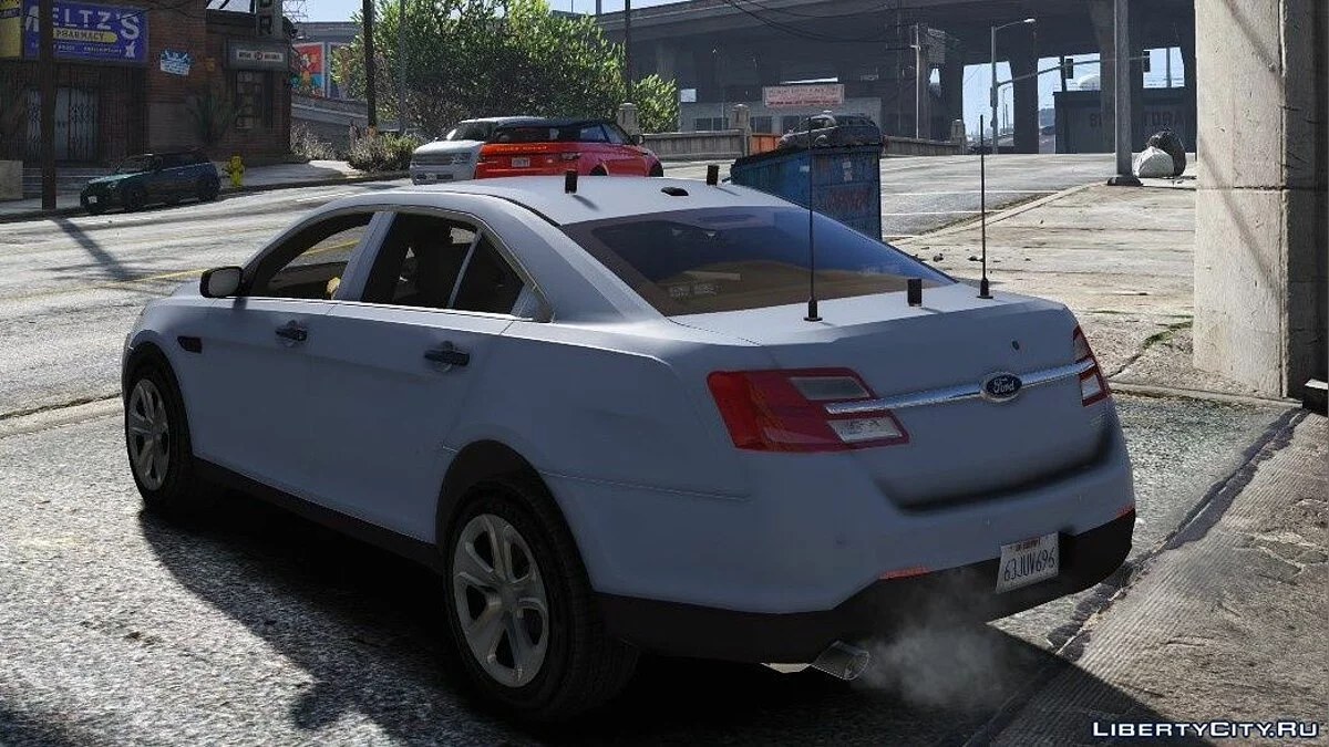 Taurus Reporter (Shot in the dark) 1.0 / GTA 5