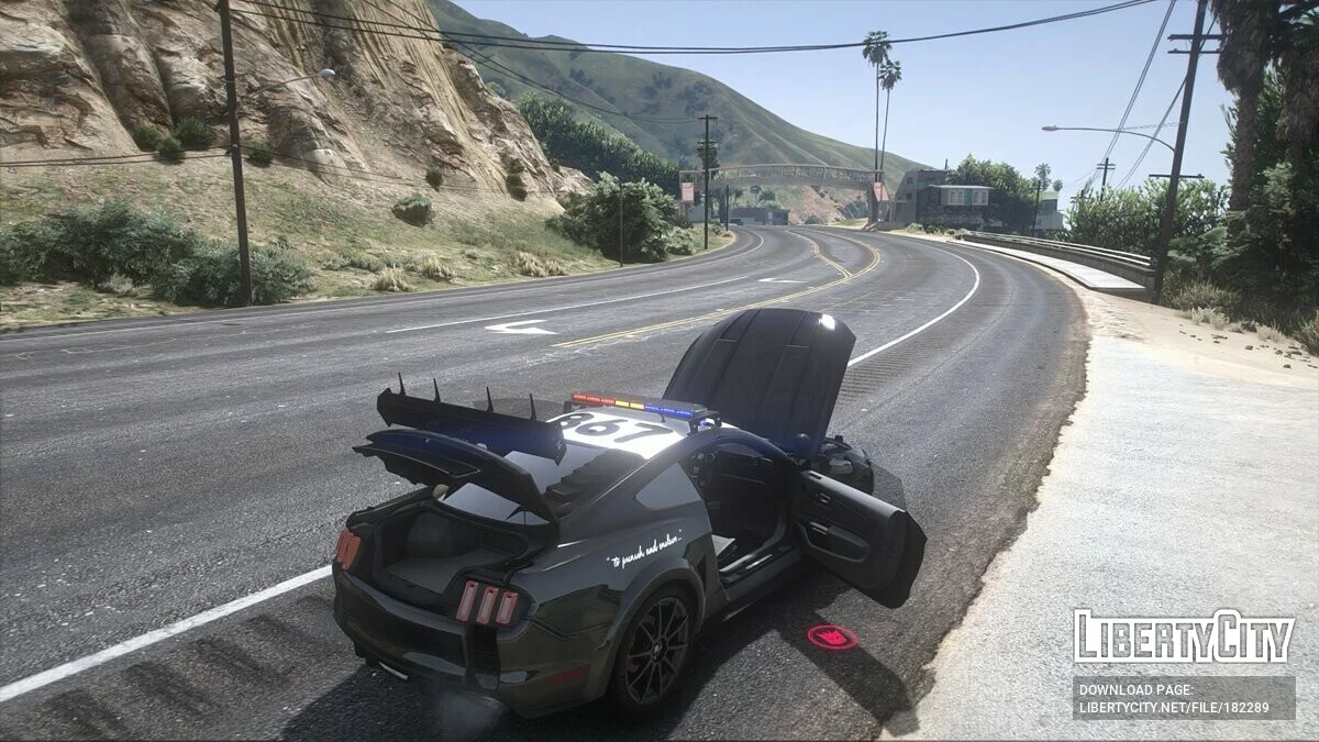 Ford Mustang Widebody Police / GTA 5