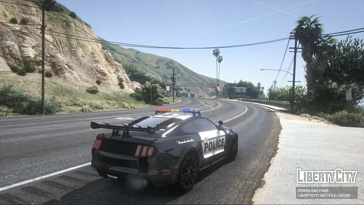 Ford Mustang Widebody Police / GTA 5